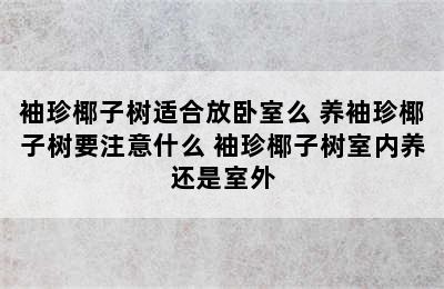 袖珍椰子树适合放卧室么 养袖珍椰子树要注意什么 袖珍椰子树室内养还是室外